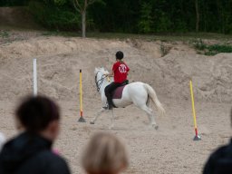 IMG_7937_web